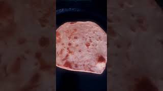 fried flat bread aka paratha