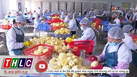 Lào Cai: Tăng cường xúc tiến thương mại, thu hút đầu tư vào lĩnh vực tiềm năng, lợi thế | THLC