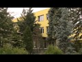 Leyland ciprus - Kertbarátok - Kertészeti TV - műsor