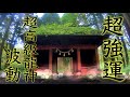 【戸隠神社参拝自然音】超高級龍神波動 聴き始めた瞬間から生命力がアップし劇的に運勢が上昇し始める