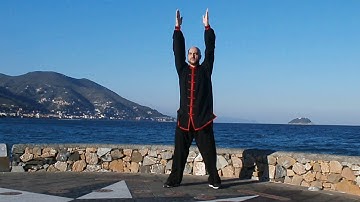 Wu Xing Qigong - 5 elements Qigong - Luca Lenzi Cigliuti
