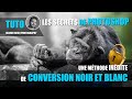 Une technique indite de conversion noir et blanc  avec photoshop