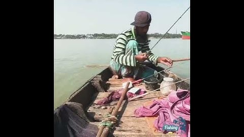 Xem cần thủ câu tôm càng xanh HUGO ở sông | Video câu cá giải trí