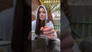Hummingbird's Gentle Morning Feed