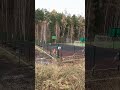 Усть-Илимск 5-мкр.он 24.10.2025 #устьилимск #сибирь #леснойгородок