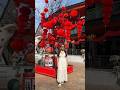 Chinese New Year Day