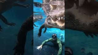 Underwater with Casper and one of his girls during a feeding! She came in with a broken jaw.