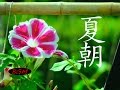 癒しBGM！作業用BGM！ストレス解消！！