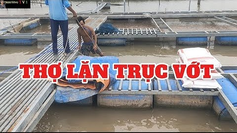 THỢ LẶN XUỐNG ĐÁY SÔNG VỚT ĐỒ DƯỚI BẦY CÁ 