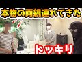 親の顔が見たいと言われたので親連れてきたドッキリ【ラファエル】