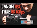 Canon R5C True 8K 60fps - Hands-on First Look!