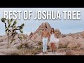 Joshua tree  best things to do in joshua tree