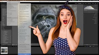 Another Way to Use a PLUGIN With LIGHTROOM