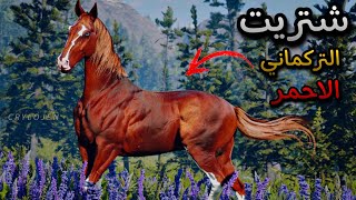 شتريت حصان التركماني الاحمر😍 ريدديد اونلاين rdr2 online