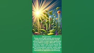 Leaf of Science #4 Photosynthetic Efficiency in Plants