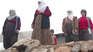 At Soğuktan Donan Adamı Köye Haber Verir Azad Dumanlı Yol Gani Rüzgar Şavata