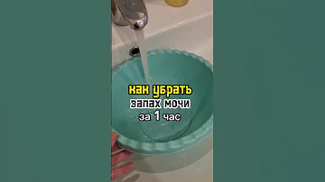 как убрать запах мочи #shorts