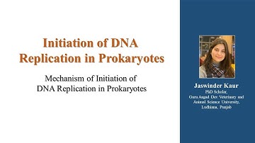 Initiation of DNA Replication in Prokaryotes for #CSIRNET