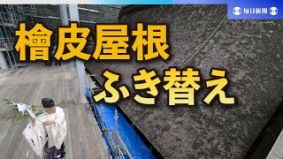 33年ぶりに檜皮のふき替え工事　大改修中の太宰府天満宮本殿