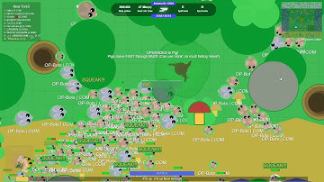 I have mope.io bots