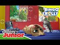 Bingo y Rolly: Burbujeadores de por vida | Disney Junior Oficial