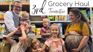 Third Trimester & Major Grocery Haul While Pregnant with Twins 