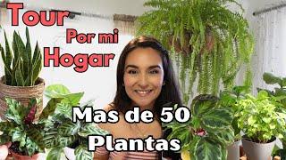 TOUR por Mi Casita 🏡con mas de 50 PLANTAS 🪴de Interior || #plantas #jardin #hogar #plantlover