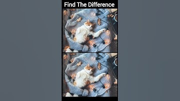 Find the difference  Level 13 #findthedifference #shorts