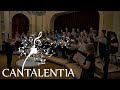 Da unten im Tale - Johannes Brahms I Cantalentia - A cappella Chor