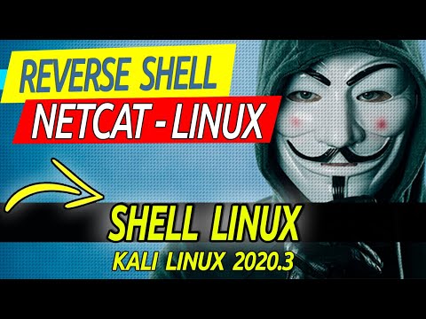 NETCAT + REVERSE SHELL LINUX - KALI LINUX 2020 [Tutorial Educacional]