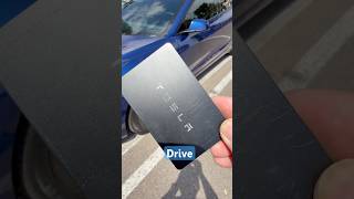Tesla FSD 24-Hour Demo Drive