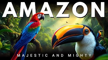 🌿 THE MAJESTIC AMAZON | Wildlife | An Extraordinary Journey – Full Documentary