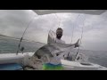 Symphony for a fisherman / Sinfonía para un pescardor. (roosterfish fishing 2016)