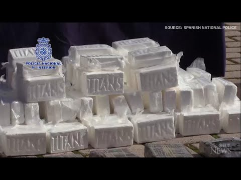 Spanish police seize 600 kg in massive drug distribution network bust