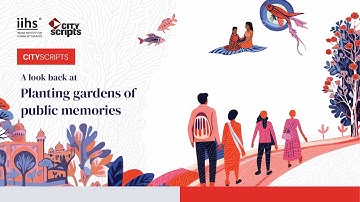 IIHS City Scripts | From 