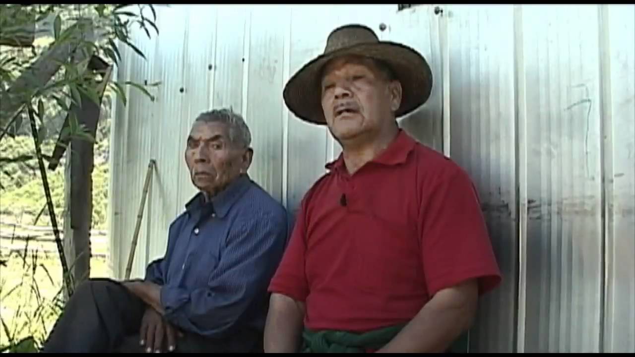 KVKAÑWE - Pewenche Adkvnugvn (SINOPSIS)