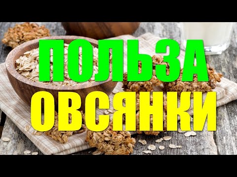 Польза и вред овсянки  Вся правда об овсяной каше