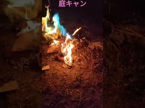 庭キャンバーベキューついでに雑草も燃やしました#shorts#Tokyocamp#キャンプ好きと繋がりたい#BBQ#庭キャン