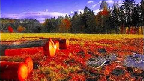 سورة النبأ للقارئ أحمد العجمي