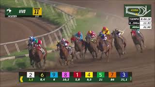 Vidéo de la course PMU PRIX KOSPI