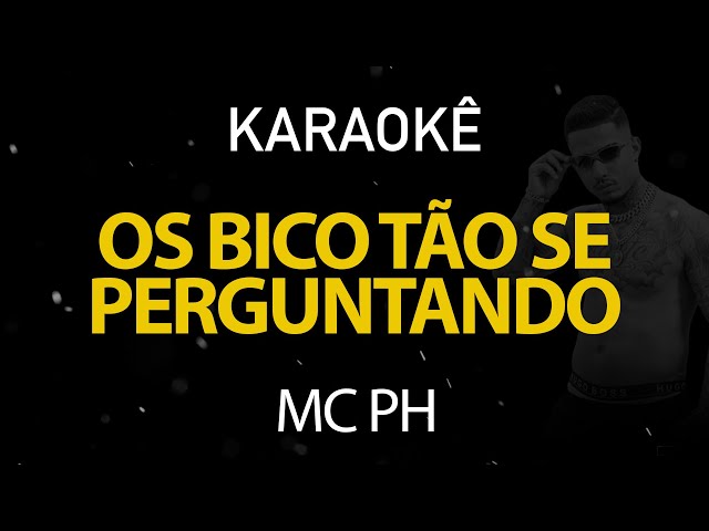 Os Bico Tao Se Perguntando - MC PH (Karaokê Version) class=