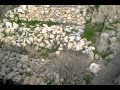 Sirkeli Höyük Adana Misis Mp4 Sirkeli Höyük Adana Misis Mp4