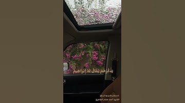 سورة الأنبياء (٥٩-٧٣)تراويح ليلة ٣ رمضان ١٤٤٦هـ  مسجد عائشة المحري