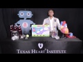 The Heart: Anatomy, Function, and Fascinating Facts