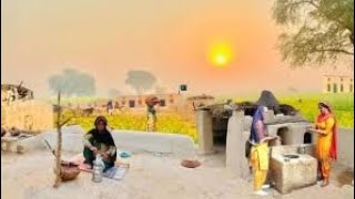 Desert Women Morning Routine In Hot Summer Pakistan | Village Life Pakistan | Desert Village Food