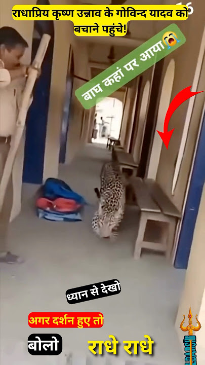 राधाप्रिय कृष्ण गोविन्द यादव को बचाने पहुंचे! #nidhivan #radharani #radhekrishna #nidhivankarahasya