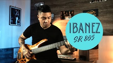 IBANEZ SR 805 | Mp | 22 seconds #Shorts
