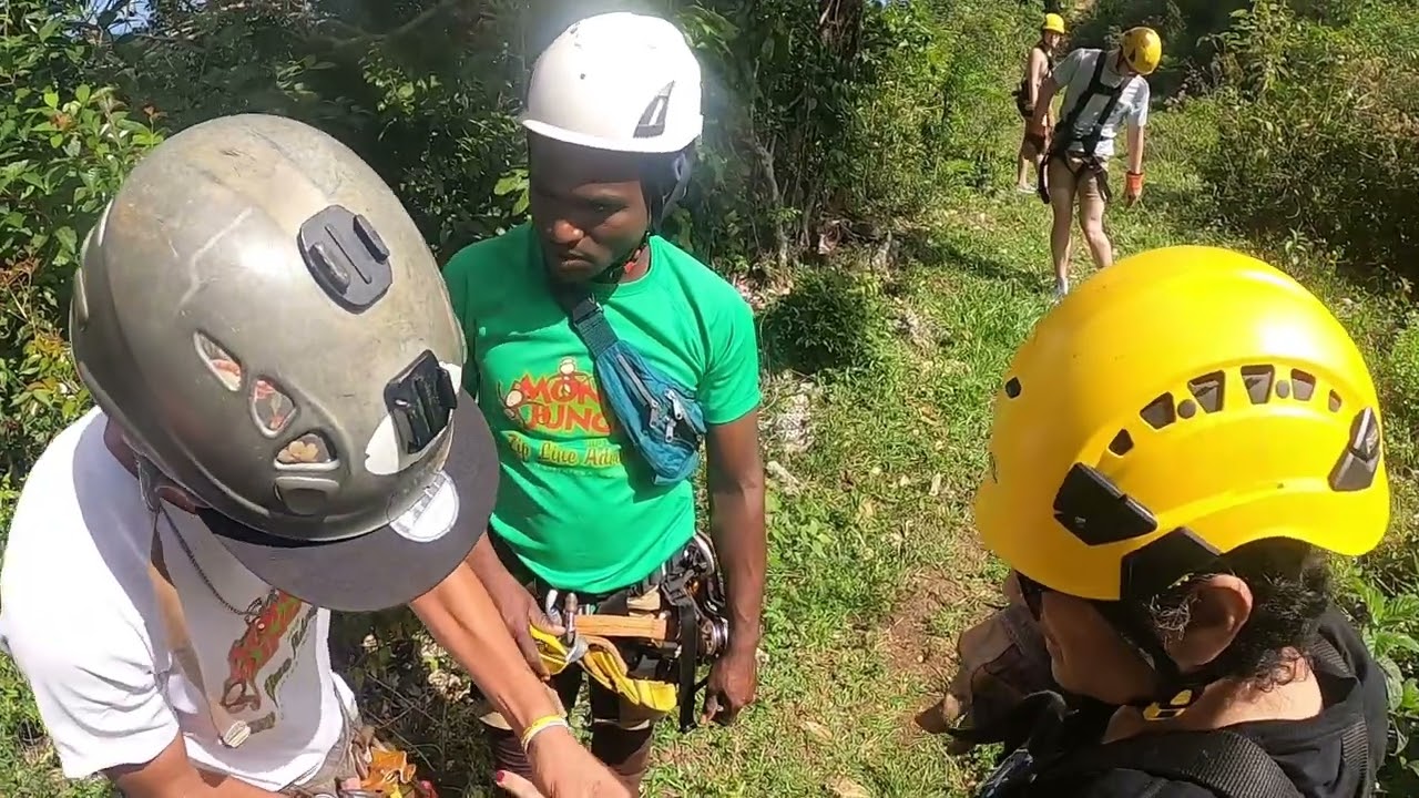 Zip Lining Monkey Jungle