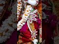 Vrindavan Dam #harekrishna #iskcon #religion #iskcontemple #harinam #vairalvideo #art