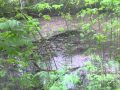 Brookburn primary school pondpond